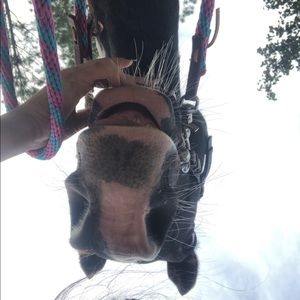 Meet your Posher, Amberlyn